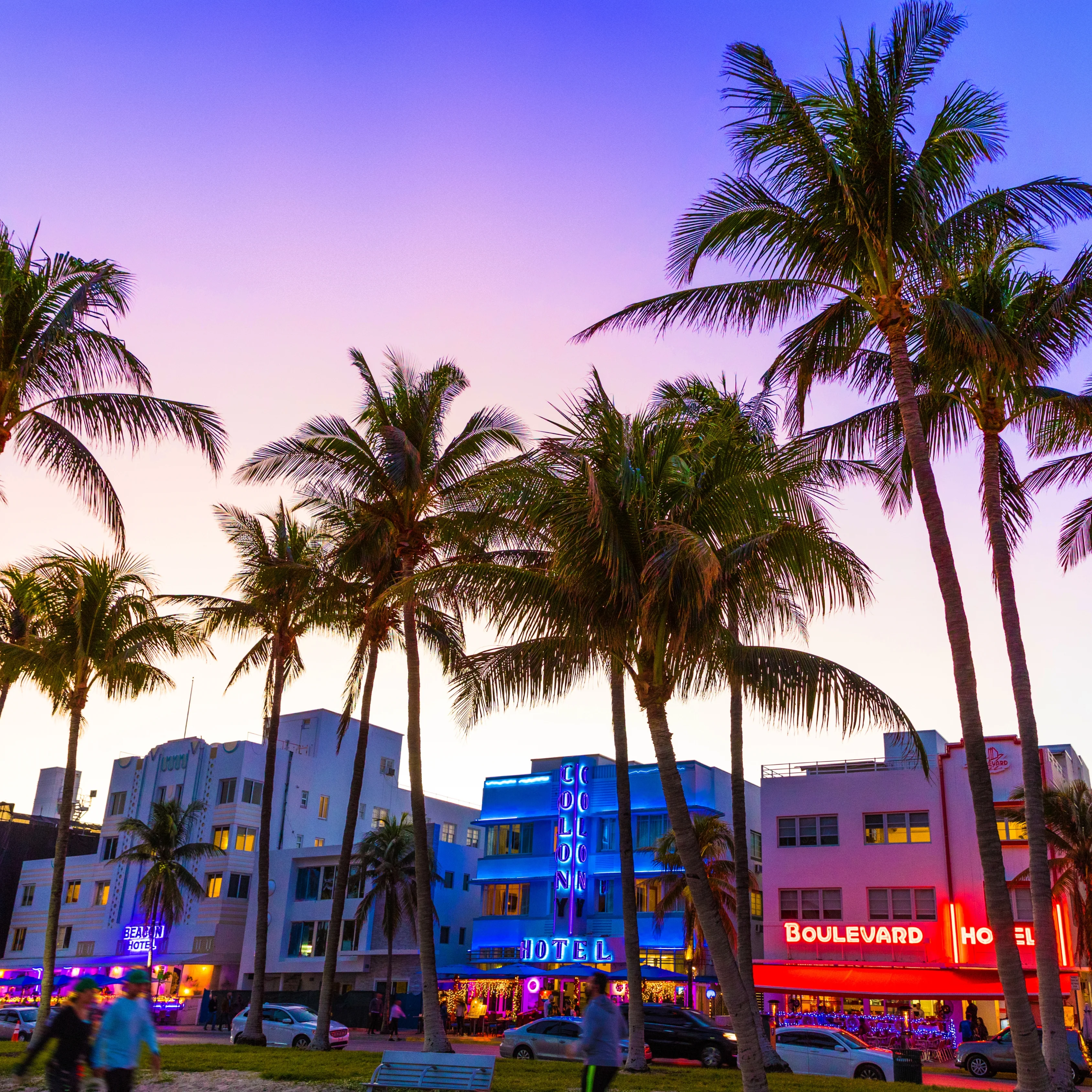 estrella-internacional-miami-orlando